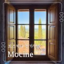 언덕민박 | 토스카나 농가민박 아그리투리스모 모시네 Agriturismo Mocine 동화 속 풍경 즐기기
