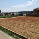 평택호공인중개사사무소 이미지