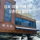 오월당 티스토리