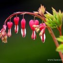 어머니의 마음 이미지