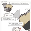 [러브둥둥] 주차장 CCTV 위에 제비가 집을 지었는데요,, 아주 잘 자랐읍니다,, 이미지