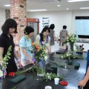 참살이 아트 이미지