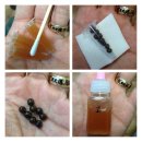 오월애한의원 이미지