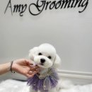 GROOMING 107 이미지