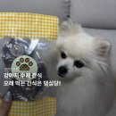 댕심당 | 강아지 수제 간식 댕심당, 오래 먹는 캥거루 꼬리