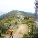다원아시아마트