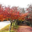 조각공원 이미지