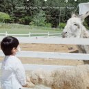 우화 목장 이미지