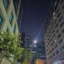 왕솔식당 이미지