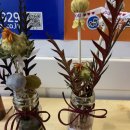 새터마을협동조합 이미지