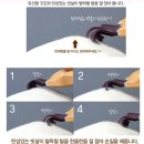 후레쉬 펫 푸드 | 고양이대장 구매후기 - 케어펫 사랑빗, 실리콘브러쉬...사조 로하이 캣푸드 캔, 푸짐한 사은품까지...