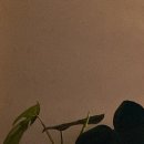 연이산부인과의원 이미지