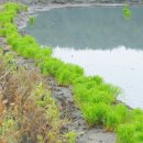 초록지기마을 이미지