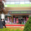 영종복합청사 네이버블로그
