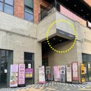 글로라인 이미지