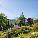 킨더숲유치원 이미지