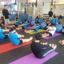 용인대 유도센터 이미지