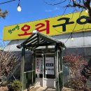 오리한마당 | 안산대부도 애견동반 한마당 오리 찐맛집 후기