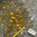 은비노래방 이미지