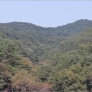 내서읍126 이미지