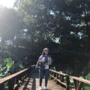 진흥목장 이미지