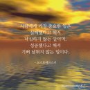 호인세상 이미지