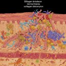 페이스필터의원 이미지