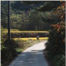 귀둔리 용소골 이미지