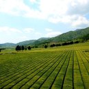 보성우체국 이미지