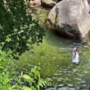 만산고을펜션 이미지