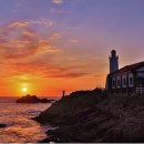 참된교회 이미지