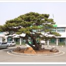 원주굽이길 원9코스 구슬뫼길 이미지