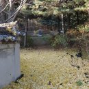 이천서씨 묘 이미지