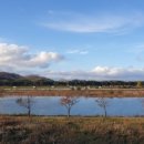 왕피천공원(동쪽) 이미지