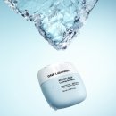 레이디올 이미지