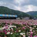 화산경로당 이미지