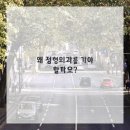 든든정형외과의원 네이버블로그