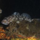 수산목장 이미지