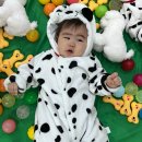 김은영 | 용산 아이파크 문화센터 ::: 반짝반짝 똘망이 / 김은영 선생님 후기