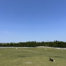 물영아리오름 이미지