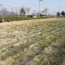 대지부동산중개사무소 이미지