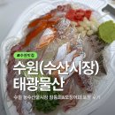 농수산물도매시장 정문 건너편 | 수원 농수산물시장 맛집 태광물산 참돔회 오징어회 구입후기 및 오징어 물회 만들기 꿀팁