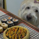 멍자매 | 멍달구리 원데이클래스 ㅣ 취미반 ㅣ 자격증반 운영 안내♥