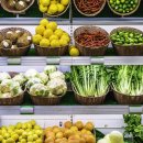 성모소아청소년과의원 이미지