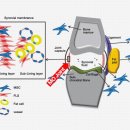 조인트한의원 이미지