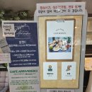 정선유치원 | 카페 아리베데르치, 하이원리조트 근처 예쁜 정선 카페 솔직한 내돈내산 후기