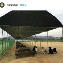 그늘막77 이미지