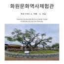 임팩트 화원점 | 화원문화역사체험관 후기 역사 체험 동물원 느낌 근처 맛집 정리