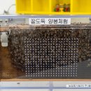 낙화담캠핑장 이미지