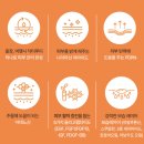 루미메디 | 올인원크림 탄력크림 닥터루미 올인원 EGF 펩타이드 PDRN 가성비 따져본 솔직 정리